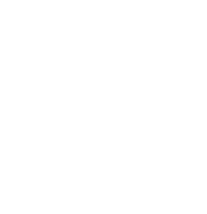 Digiland logo banner
